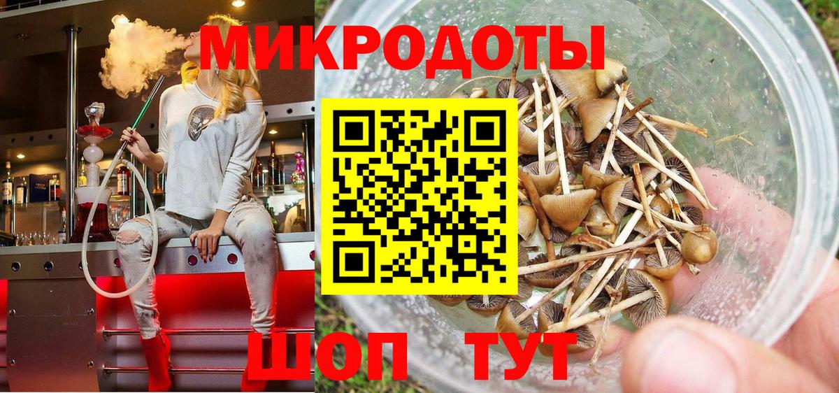 Галлюциногенные грибы мухоморы Кохма