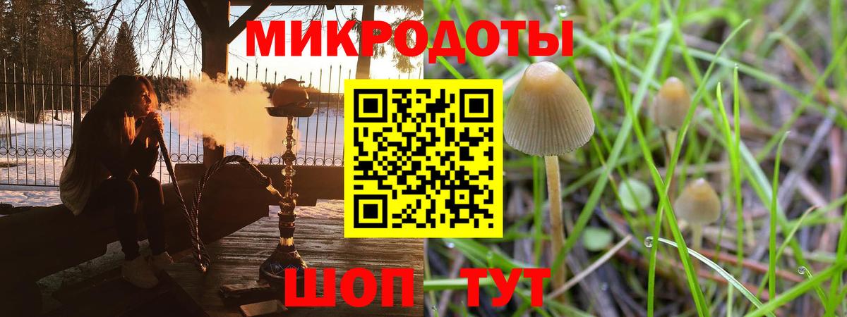 где можно купить   Вход с VPN  Кохма  Псилоцибиновые грибы мицелий 